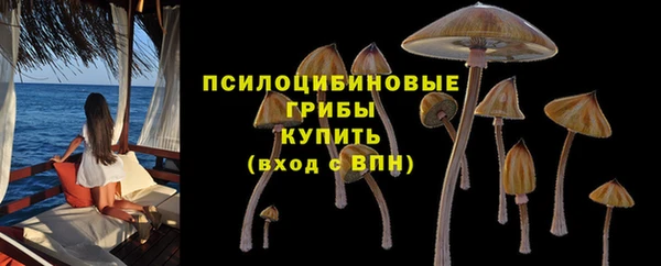 синтетический гашиш Верхний Тагил