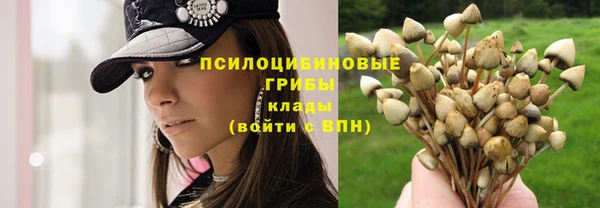 синтетический гашиш Верхний Тагил